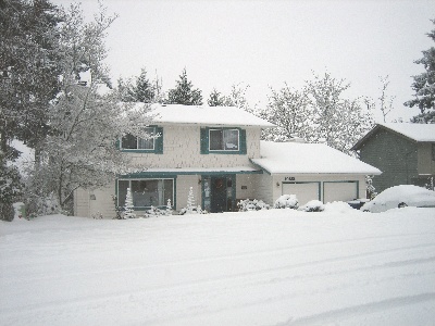 My snowy house (Dec 24, 2008)
