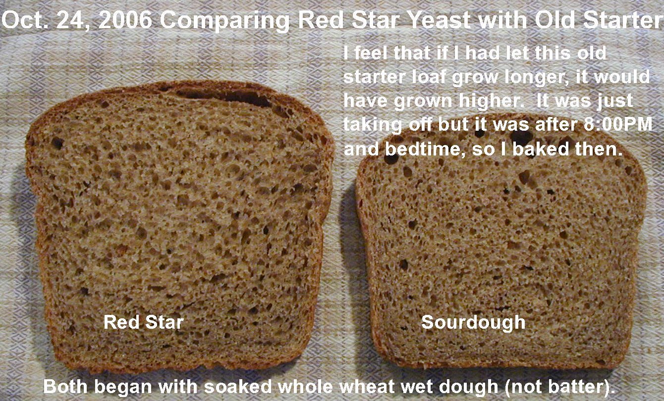 Soaked Whole Wheat Sourdough Bread