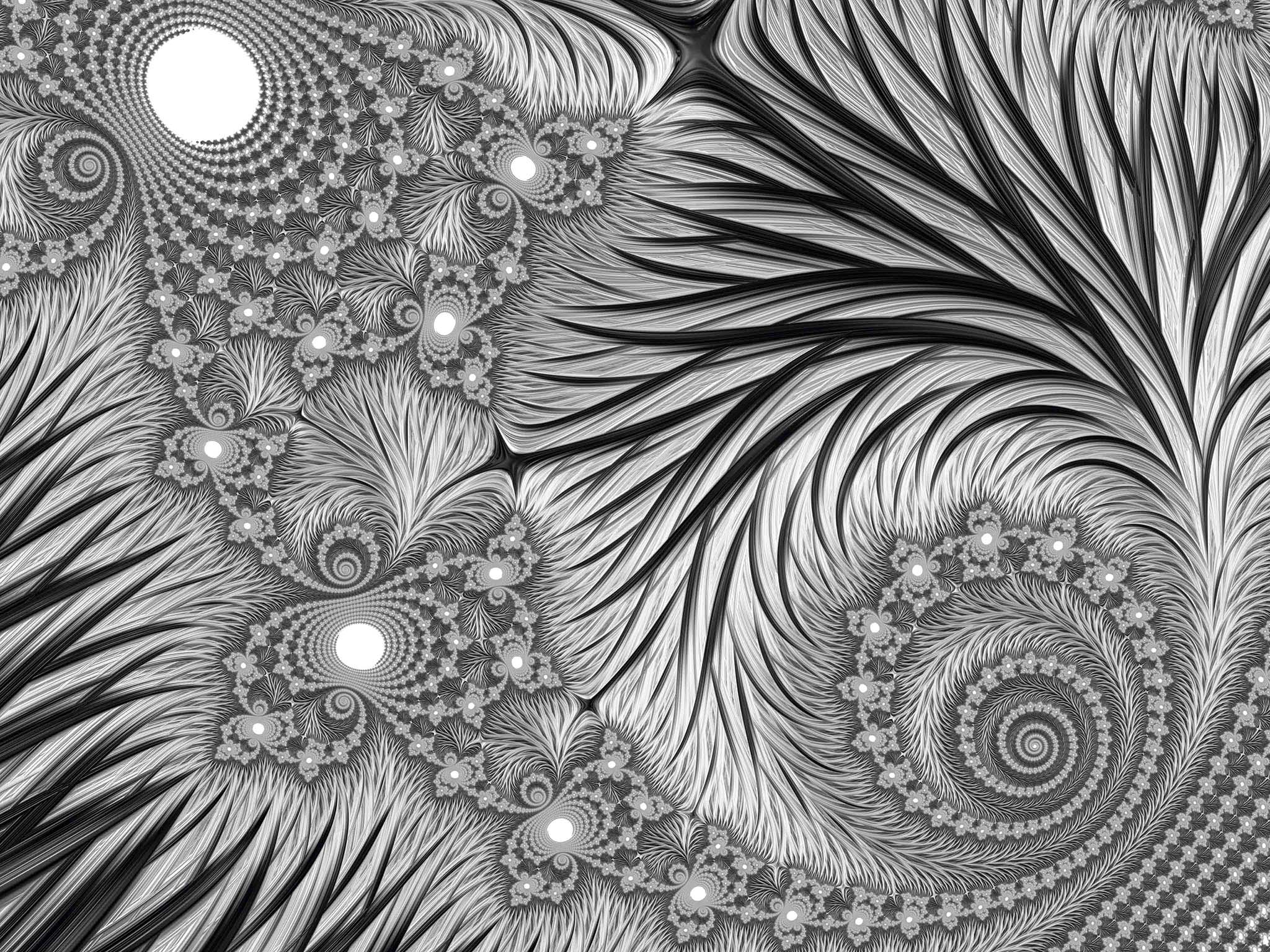 Black and White Fractal Image