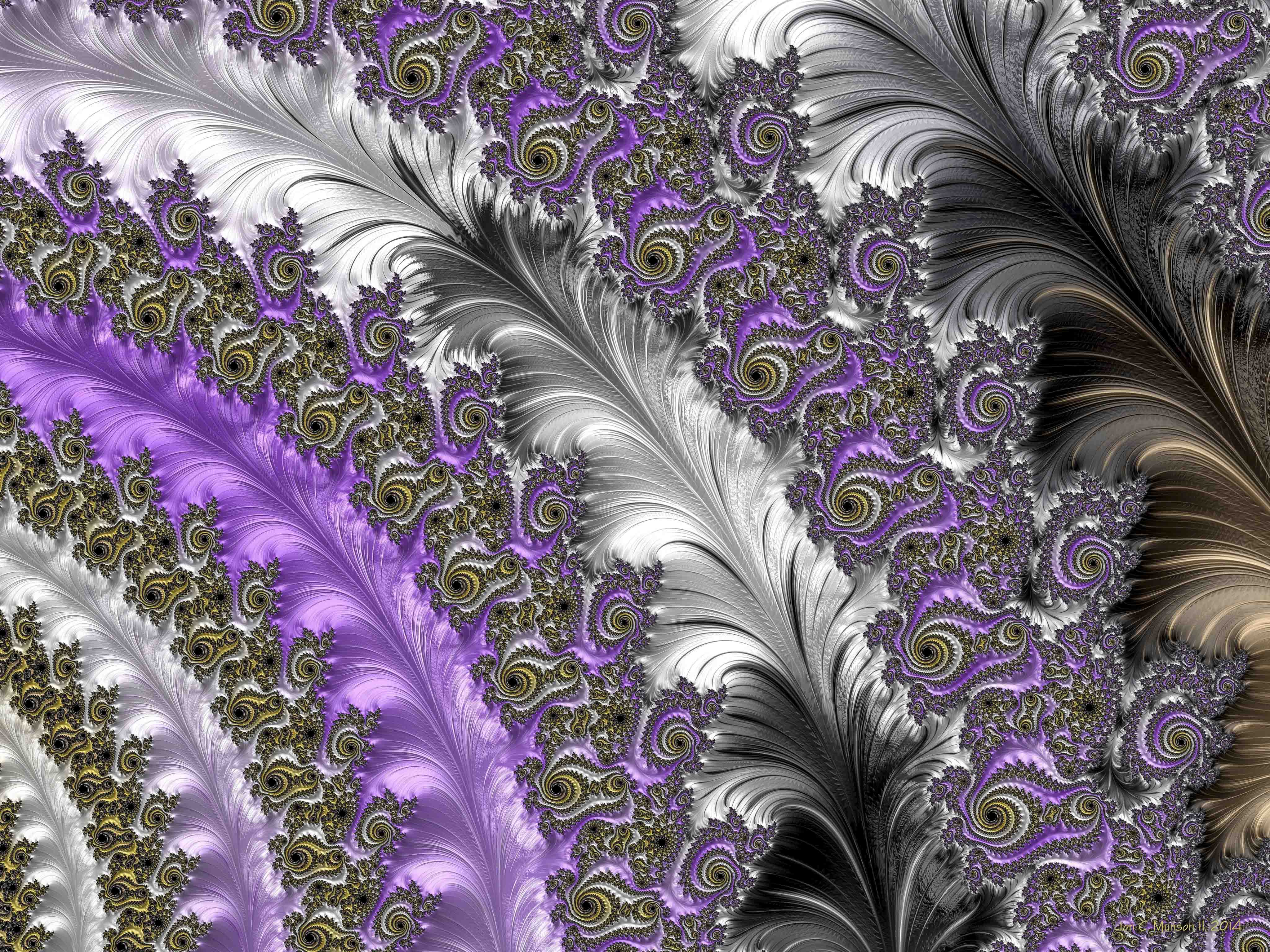 Fractal Image