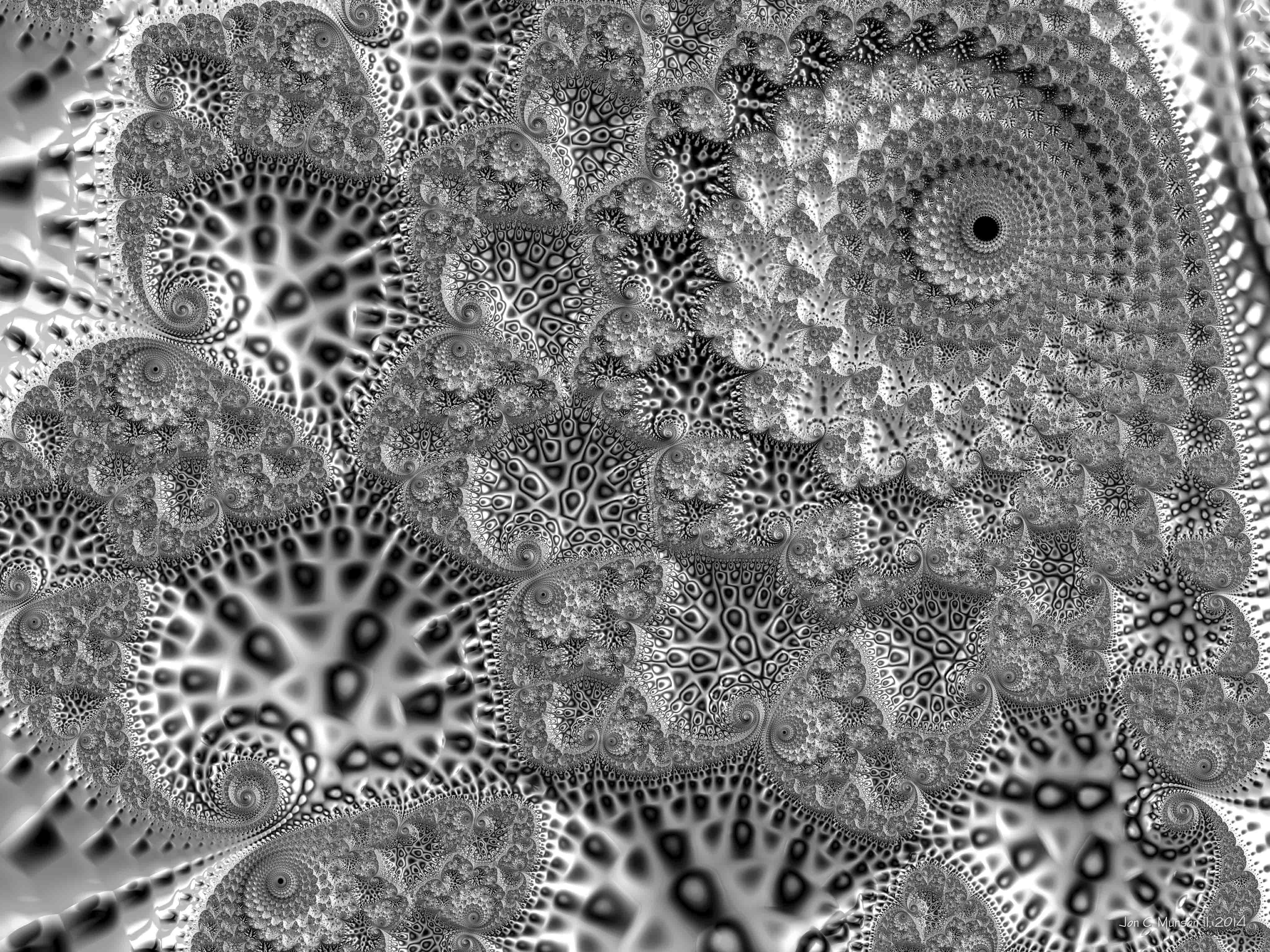 Black and White Fractal Image