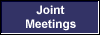 Joint 
 Meetings