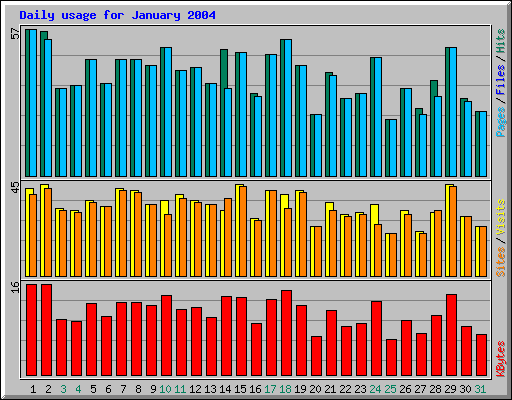 Daily usage for January 2004