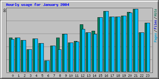 Hourly usage for January 2004