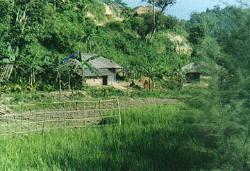 coastal farm near cox's bazaar