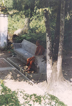 monk at ranu, near cox's bazaar