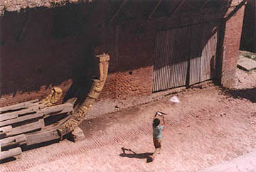 from top of temple