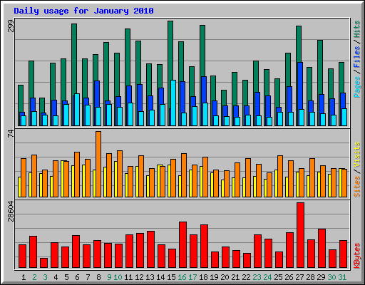 Daily usage for January 2010