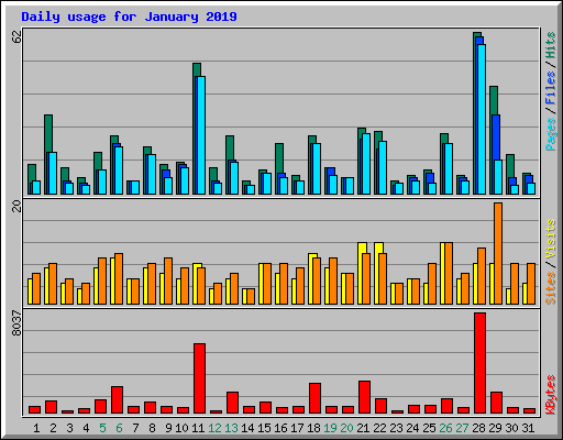 Daily usage for January 2019