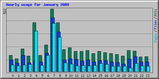 Hourly usage for January 2009