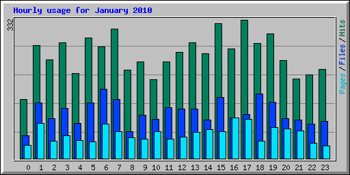 Hourly usage for January 2010