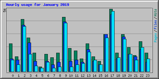 Hourly usage for January 2019