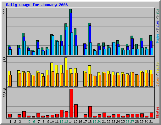 Daily usage for January 2008