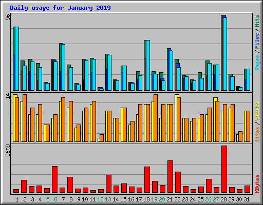 Daily usage for January 2019