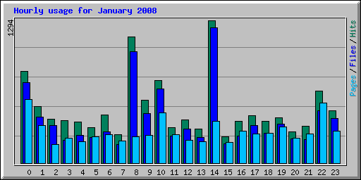 Hourly usage for January 2008