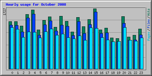 Hourly usage for October 2008