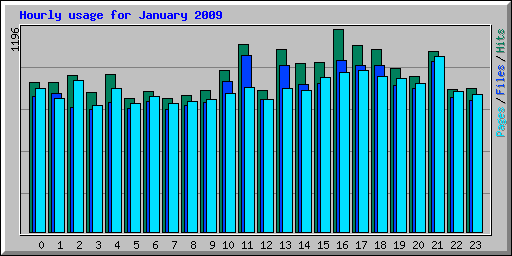 Hourly usage for January 2009