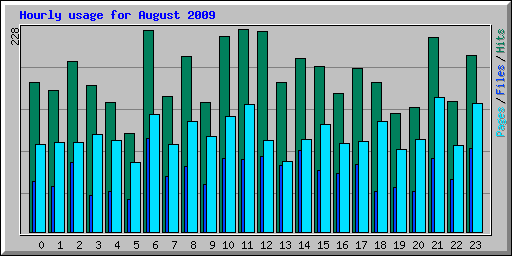 Hourly usage for August 2009