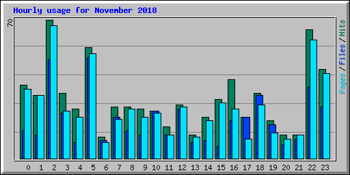 Hourly usage for November 2018