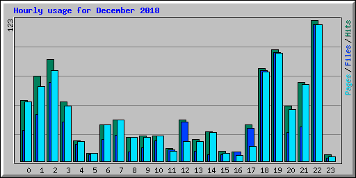 Hourly usage for December 2018