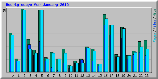 Hourly usage for January 2019