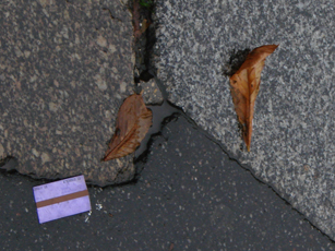 RATP ticket litter
