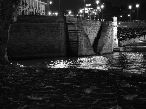 River stairs on &Icirc;le del la Cit&eacute;