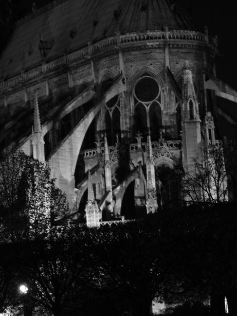 Black and White Night rear of Notre Dame
