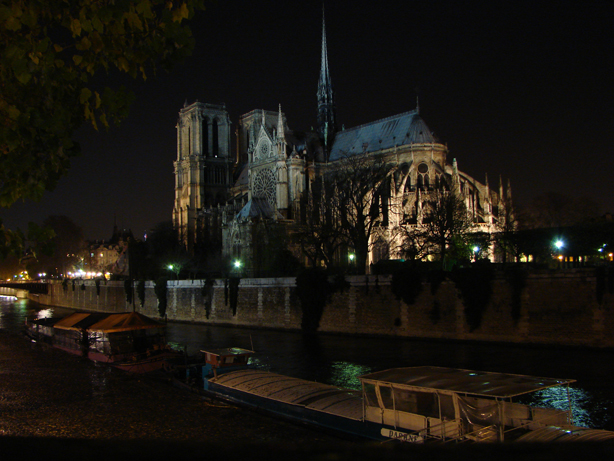 3/4 view of Notre Dame from across the Seine