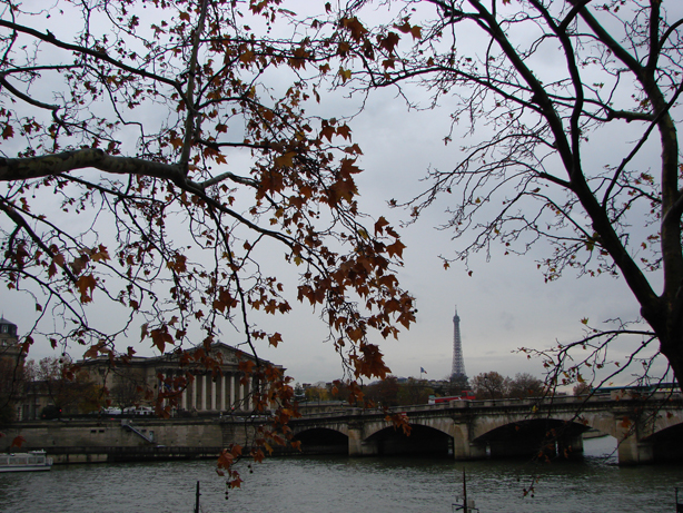 Eiffel Tower and Assembl&eacute;e Nationale