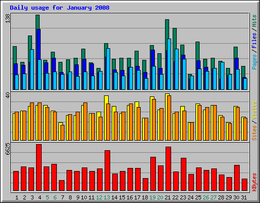 Daily usage for January 2008