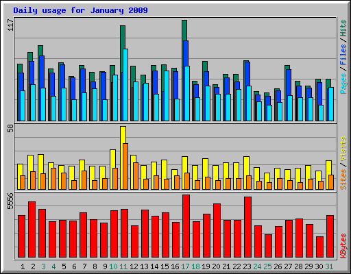 Daily usage for January 2009