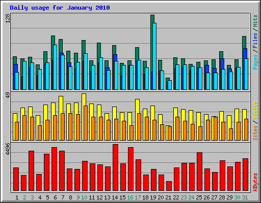Daily usage for January 2010
