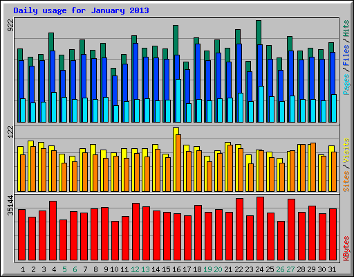 Daily usage for January 2013
