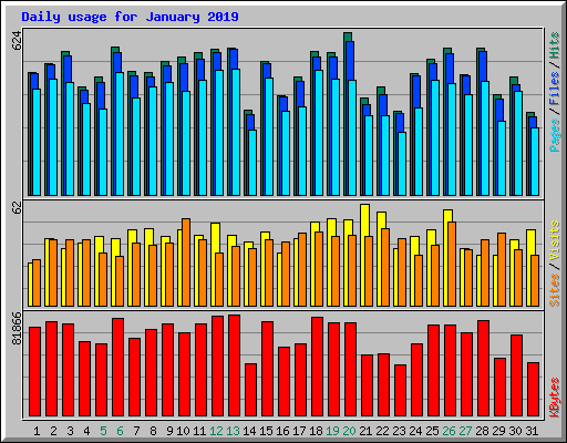 Daily usage for January 2019