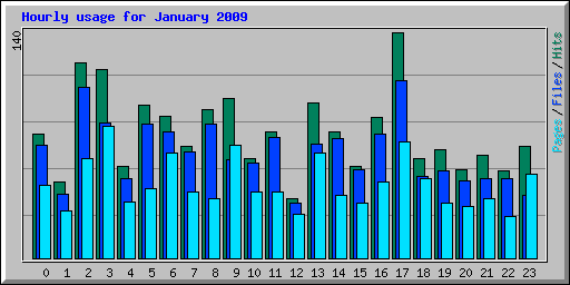 Hourly usage for January 2009