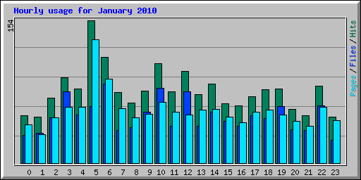 Hourly usage for January 2010