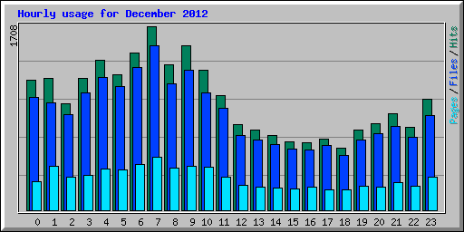 Hourly usage for December 2012