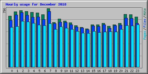 Hourly usage for December 2018