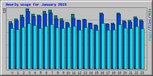 Hourly usage for January 2019