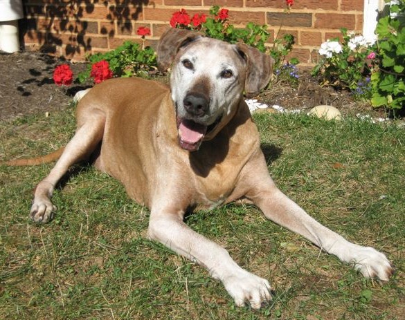 Simon, September 2007
