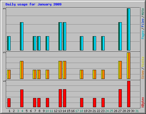 Daily usage for January 2009