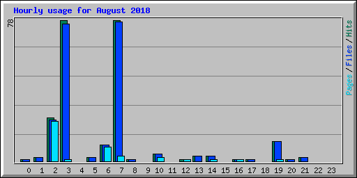 Hourly usage for August 2018