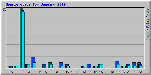 Hourly usage for January 2019