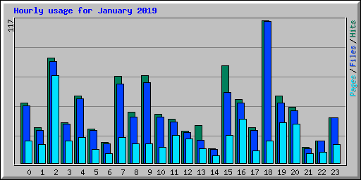 Hourly usage for January 2019
