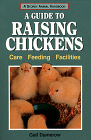 A Guide to Raising Chickens