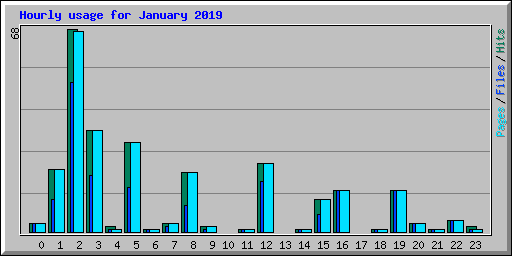Hourly usage for January 2019