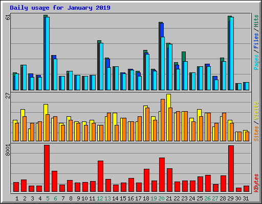 Daily usage for January 2019
