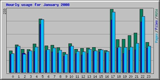 Hourly usage for January 2008