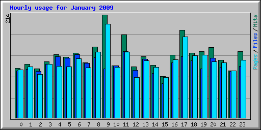 Hourly usage for January 2009